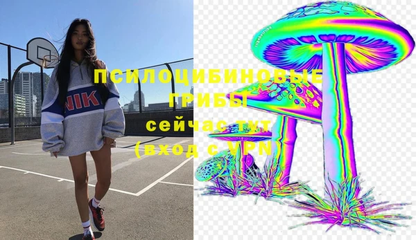 шишки Абинск