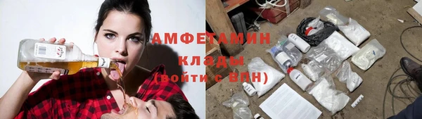 шишки Абинск