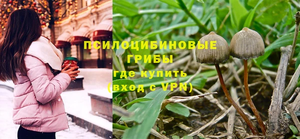 тгк Абдулино