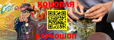 дживик Кингисепп
