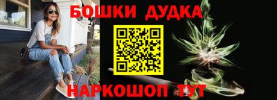 дживик Кингисепп