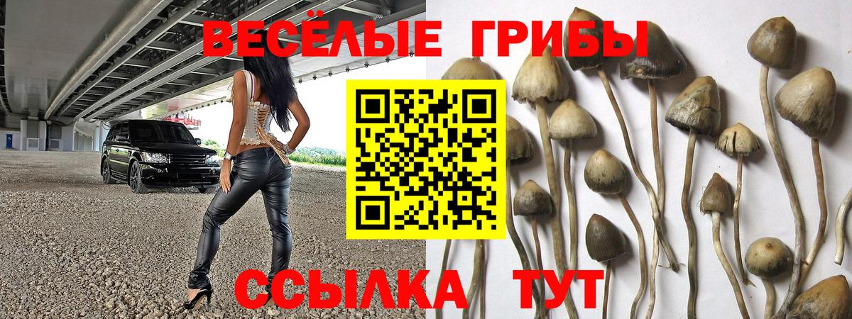 Галлюциногенные грибы Psilocybine cubensis  Вход с VPN  Туапсе 