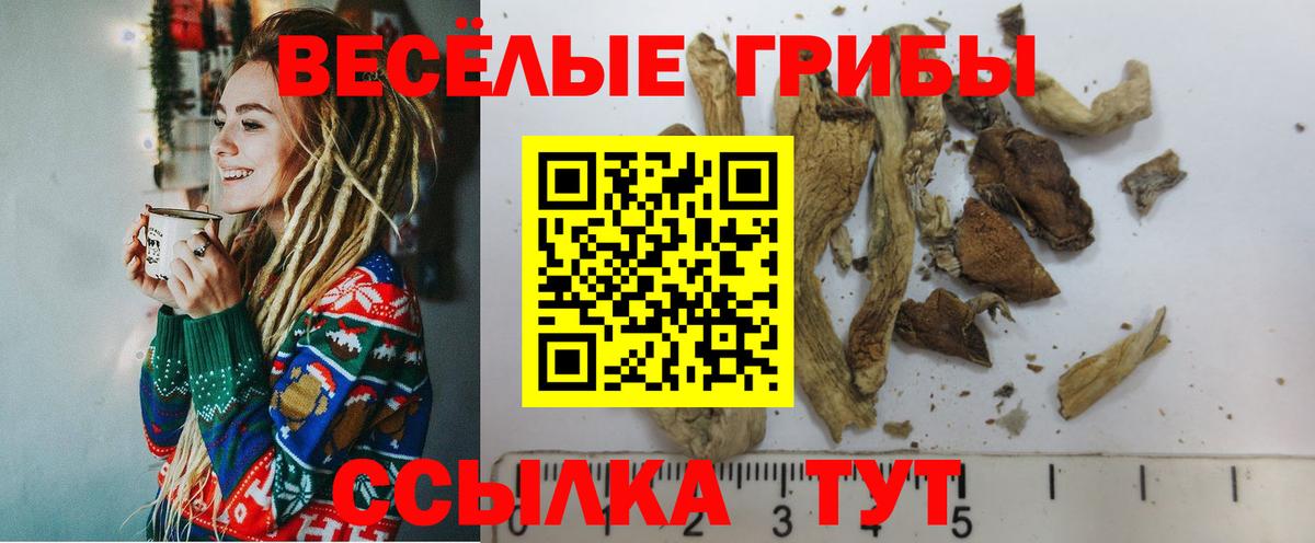Псилоцибиновые грибы Cubensis Туапсе